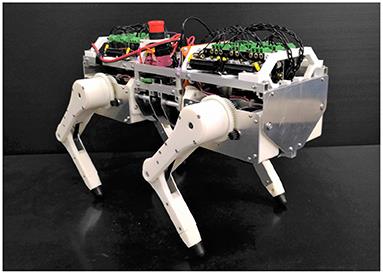 A Reciprocal Excitatory Reflex Between Extensors Reproduces the Prolongation of Stance Phase in Walking Cats: Analysis on a Robotic Platform